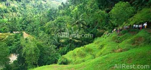Amandari Ubud resort 45